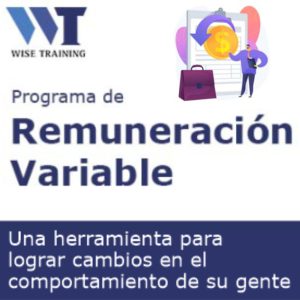 ¿Qué debe contener un Programa de Remuneración Variable? 9/6/2026
