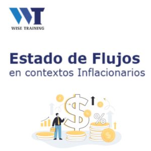 Taller sobre Estado de Flujo de Efectivo en contextos de inflación 14/08/2026